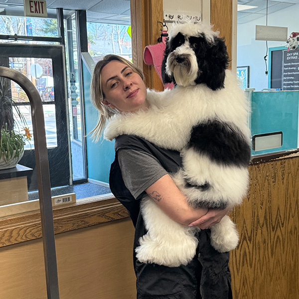 gallery-dog-13 A groomer holding a dog like a toddler